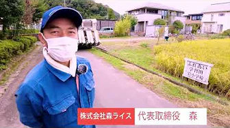 小学校の稲刈り体験をお手伝い！
