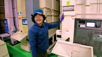 乾燥・脱穀・出荷まで...稲刈り後の流れを解説！